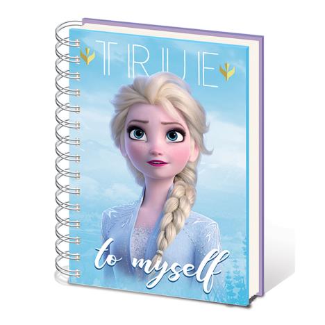 Disney Frozen 2 Sisters Hard Cover A5 Notebook £3.99
